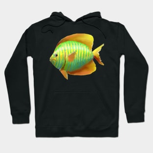 Tropical Fish 02 Hoodie